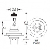 H7 PX26D: Halogen H7 PX26D Base with single axial filament from £0.01 each